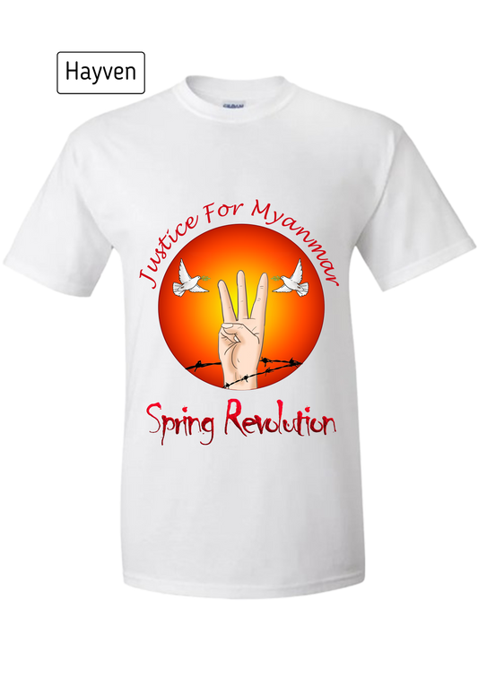 Burmese Spring Revolution